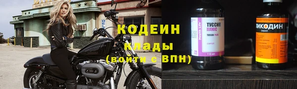 шишки Осташков