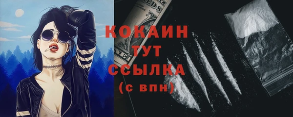 шишки Осташков