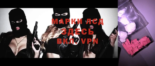 шишки Осташков