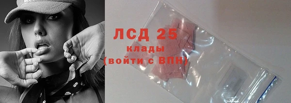 шишки Осташков