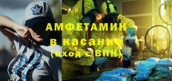 шишки Осташков