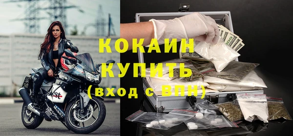 молекула духа Осинники