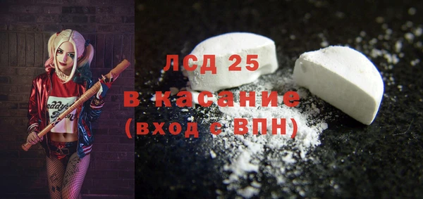шишки Осташков