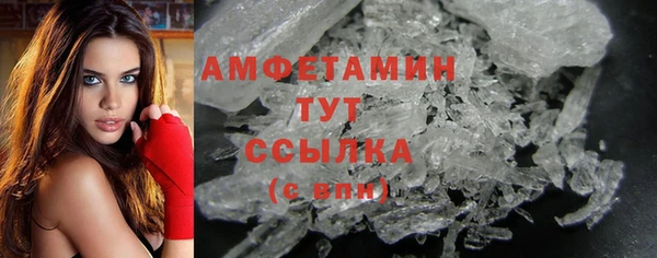 шишки Осташков