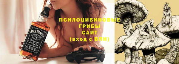 молекула духа Осинники