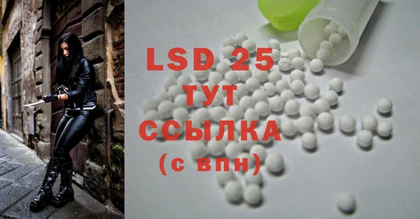 шишки Осташков