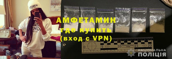 шишки Осташков