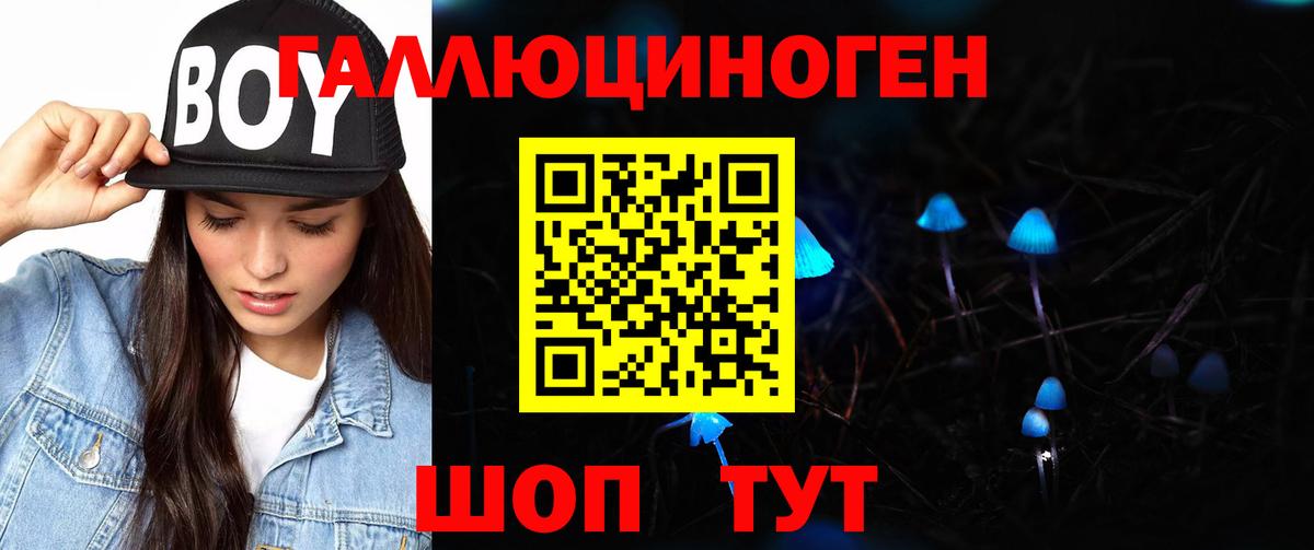 Псилоцибиновые грибы MAGIC MUSHROOMS  Вход с VPN  Новосибирск  Псилоцибиновые грибы ЛСД 