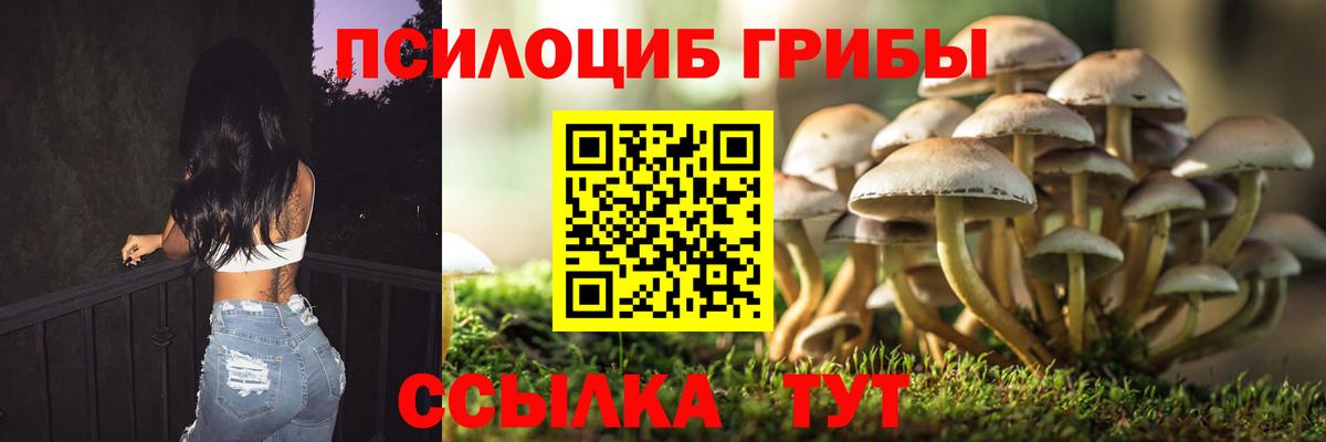 Галлюциногенные грибы Cubensis Новосибирск